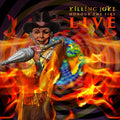 Killing Joke | Honour The Fire Live (2cd) | 2CD