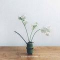Blurr Thrower | Les VoÛTes | LP