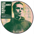Gallagher, Liam | Why Me? Why Not | 1LP Picture Disc front cover