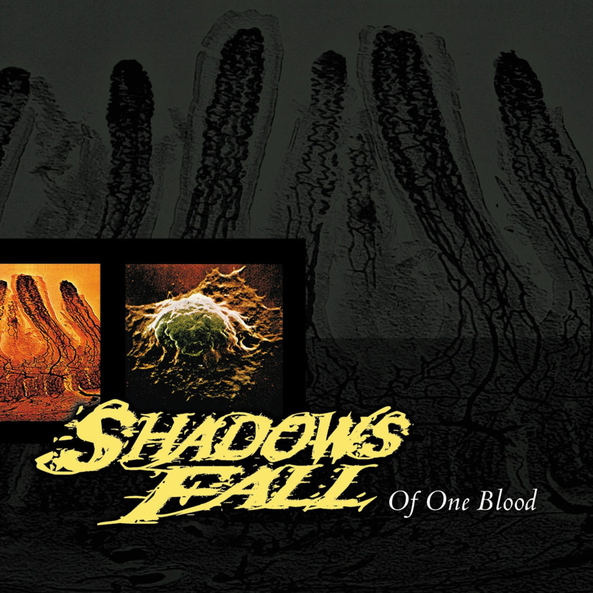 Shadows Fall | Of One Blood (Blood Red Vinyl) | LP