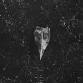 Bees Made Honey In The Vein Tree | Aion | CD