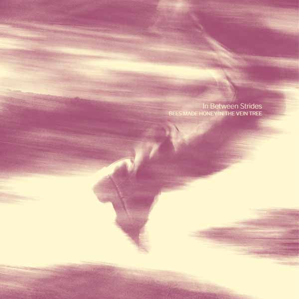 Bees Made Honey In The Vein Tree | In Between Strides | CD