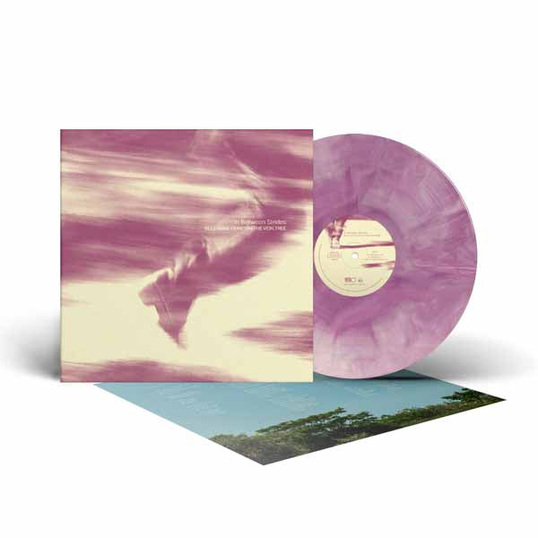 Bees Made Honey In The Vein Tree | In Between Strides | LP