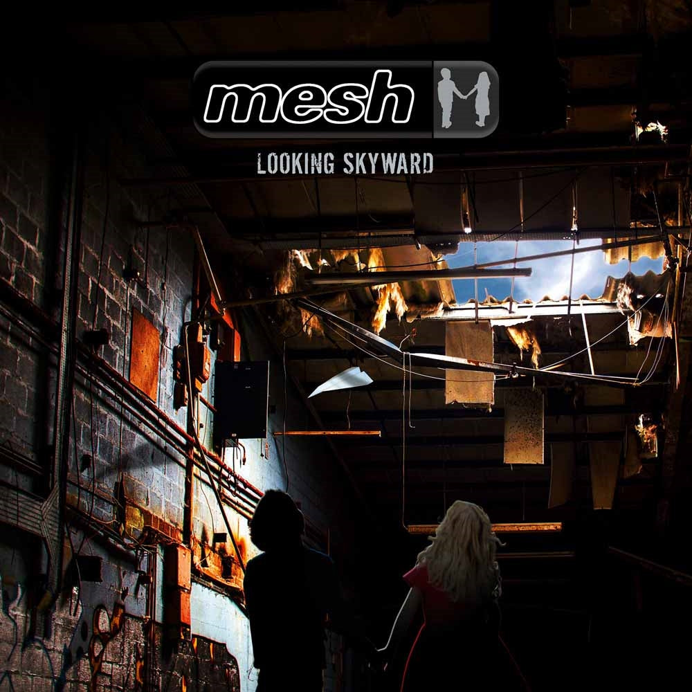 Mesh | Looking Skyward | CD