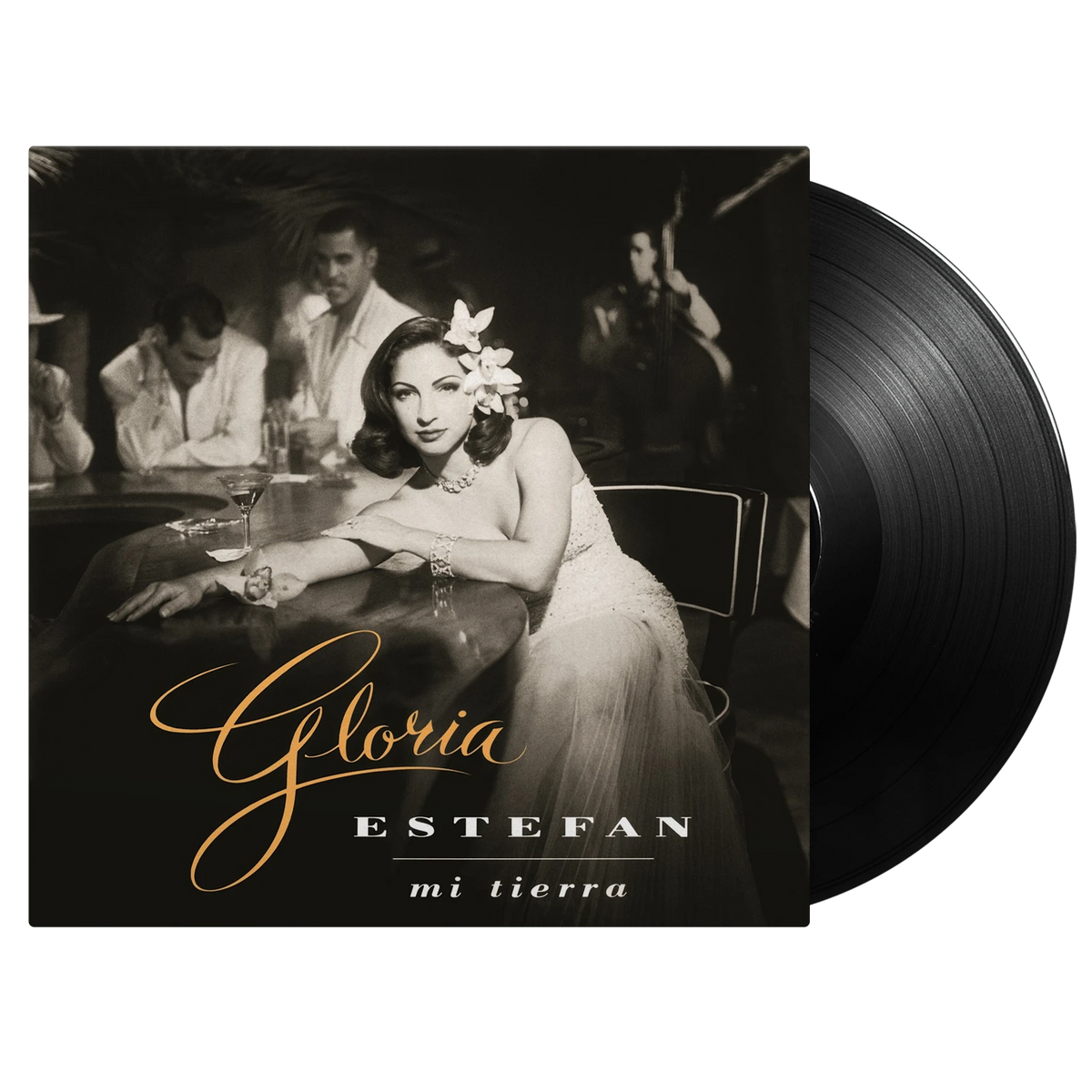Estefan, Gloria | Mi Terra | 1LP front cover