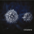 Cranes | Cranes | 1LP Coloured Vinyl