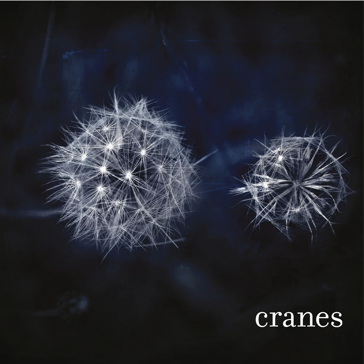 Cranes | Cranes | 1LP Coloured Vinyl