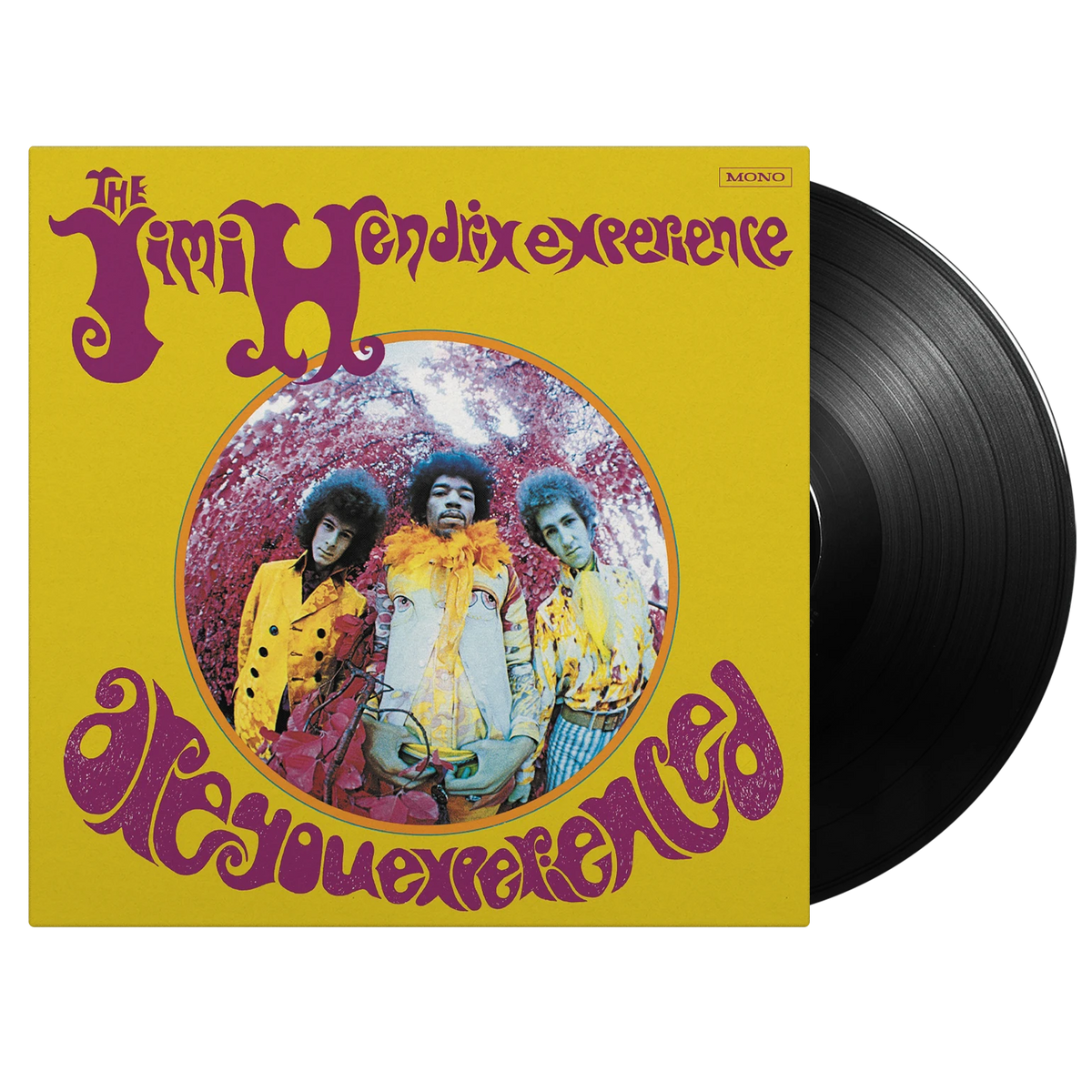Hendrix, Jimi | Are You Experienced (USA Sleeve / MONO) | 1LP front cover