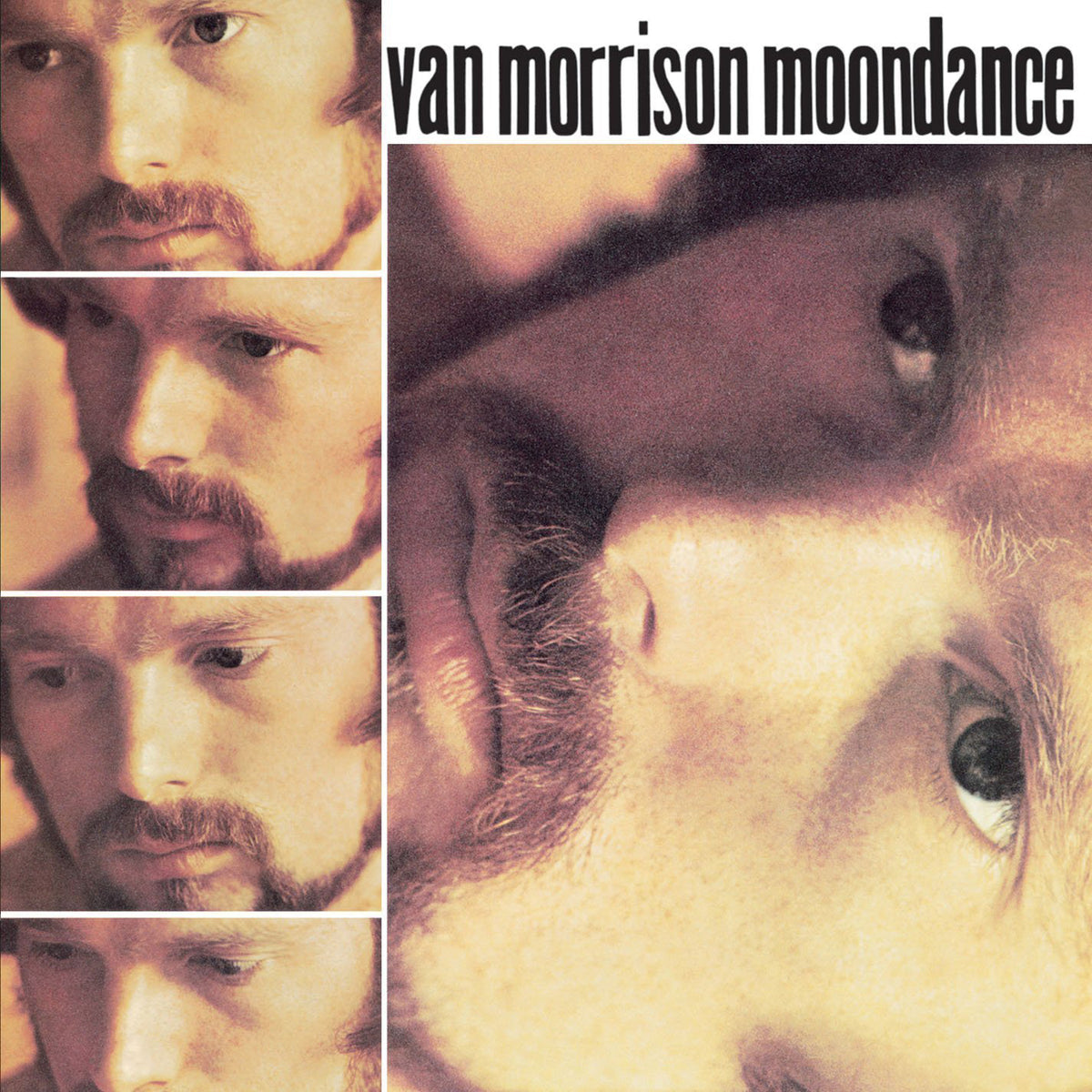 Morrison, Van | Moondance | 1LP