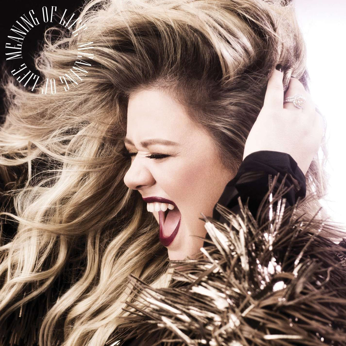 Kelly Clarkson | Meaning Of Life | CD