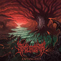 Since The Death | Entangled | CD
