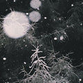 Over The Voids... | Over The Voids | CD