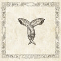 Varde | Fedraminne | CD