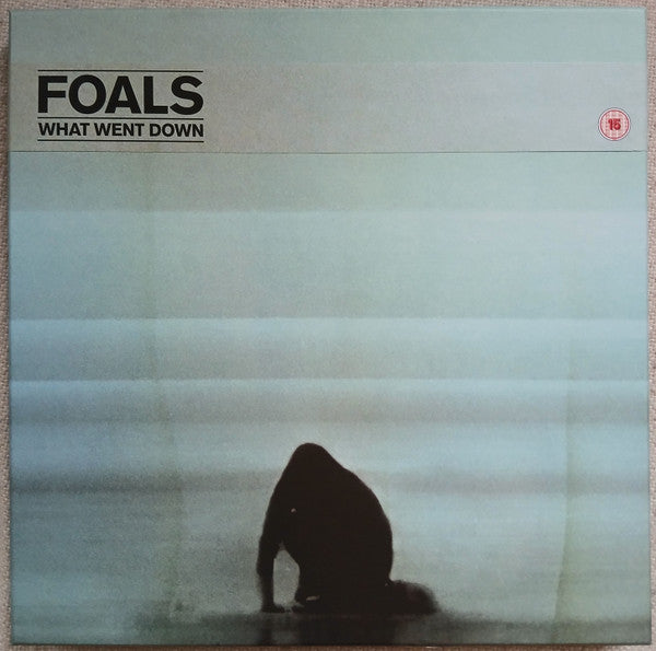 Foals | What Went Down (Deluxe Edition) | CD