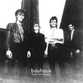 Bauhaus | Fear In Frisco (Grey Vinyl 2lp) | 2LP