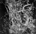 Bruit | Monolith | LP
