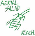 Aerial Salad | Roach | CD
