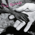 Dead Kennedys | Plastic Surgery Disasters (Purple Vinyl) | LP