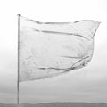Dool | The Shape Of Fluidity | CD