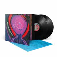 A Forest Of Stars | Stack Overflow In Corpse Pile Interface | 2LP