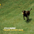Steve Marino | Too Late To Start Again | LP
