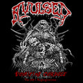 Avulsed | Vomiting Corpses - The 90s Regurgitations (4cd Clamshell Box) | 4CD