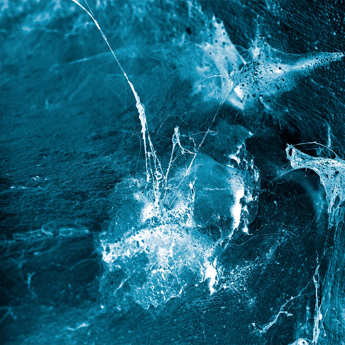 Arstidir | Hvel | CD