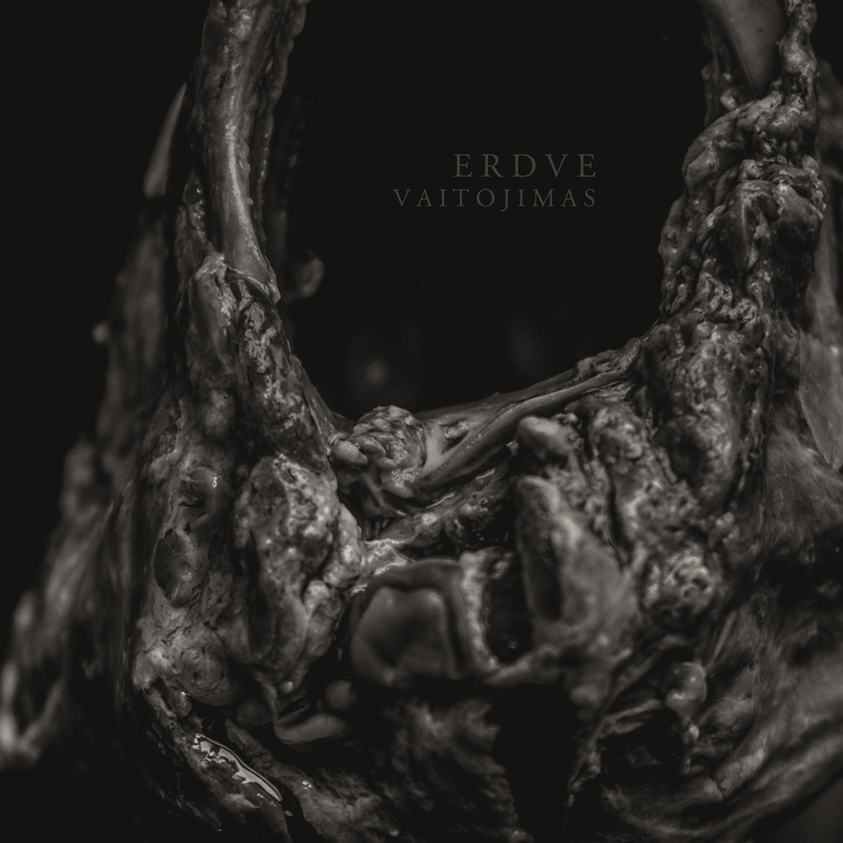 Erdve | Vaitojimas | CD