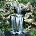 Hemi-Sync | Surgical Support (6cd) | CD