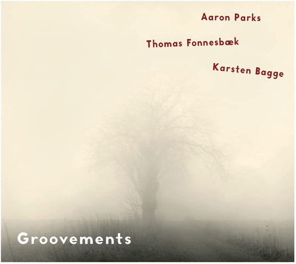 Aaron Parks/Thomas FonnesbÆK/Karsten Bagge | Groovements | CD