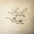 Near The Pond | Wild Geese | CD