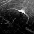 Altarage | The Approaching Roar | CD