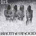 D.Y.S. | Brotherhood | LP