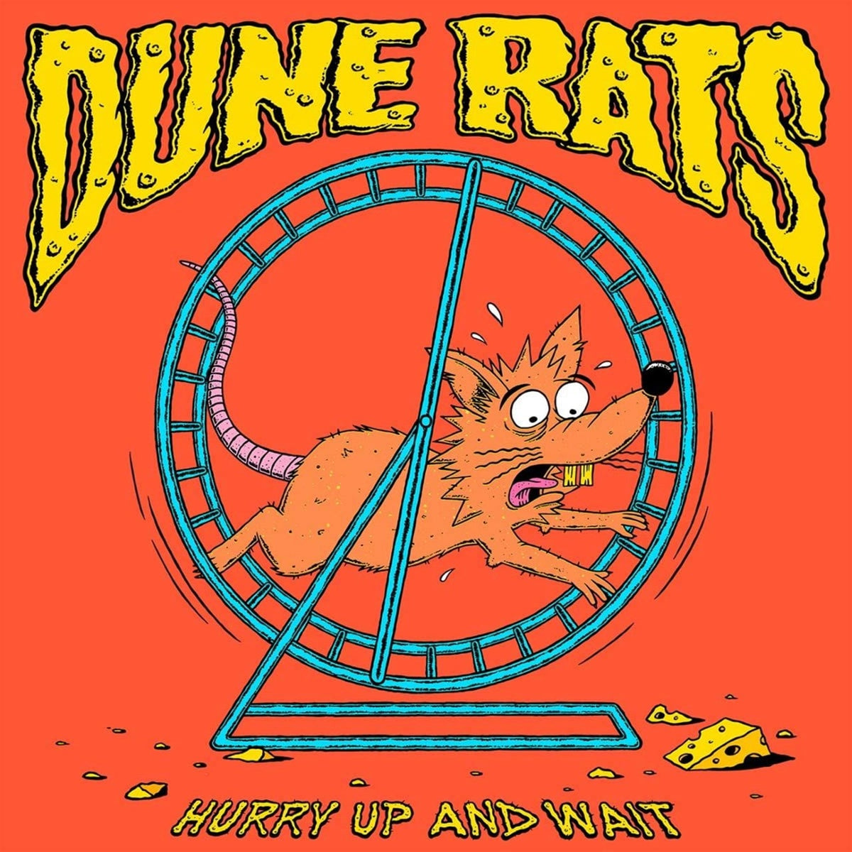 Dune Rats | Hurry Up and Wait | CD