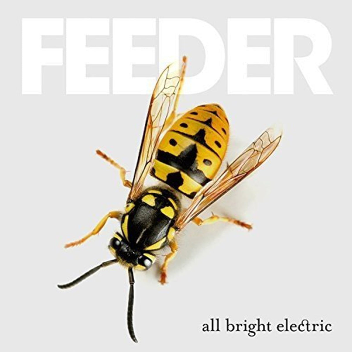 Feeder | All Bright Electric | CD