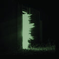 Fink | Horizontalism | CD