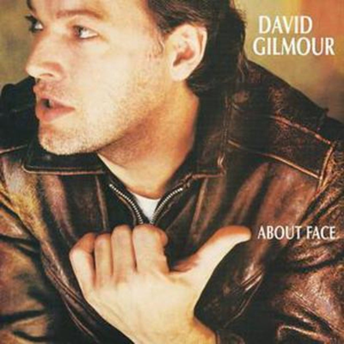 Gilmour, David | About Face | CD