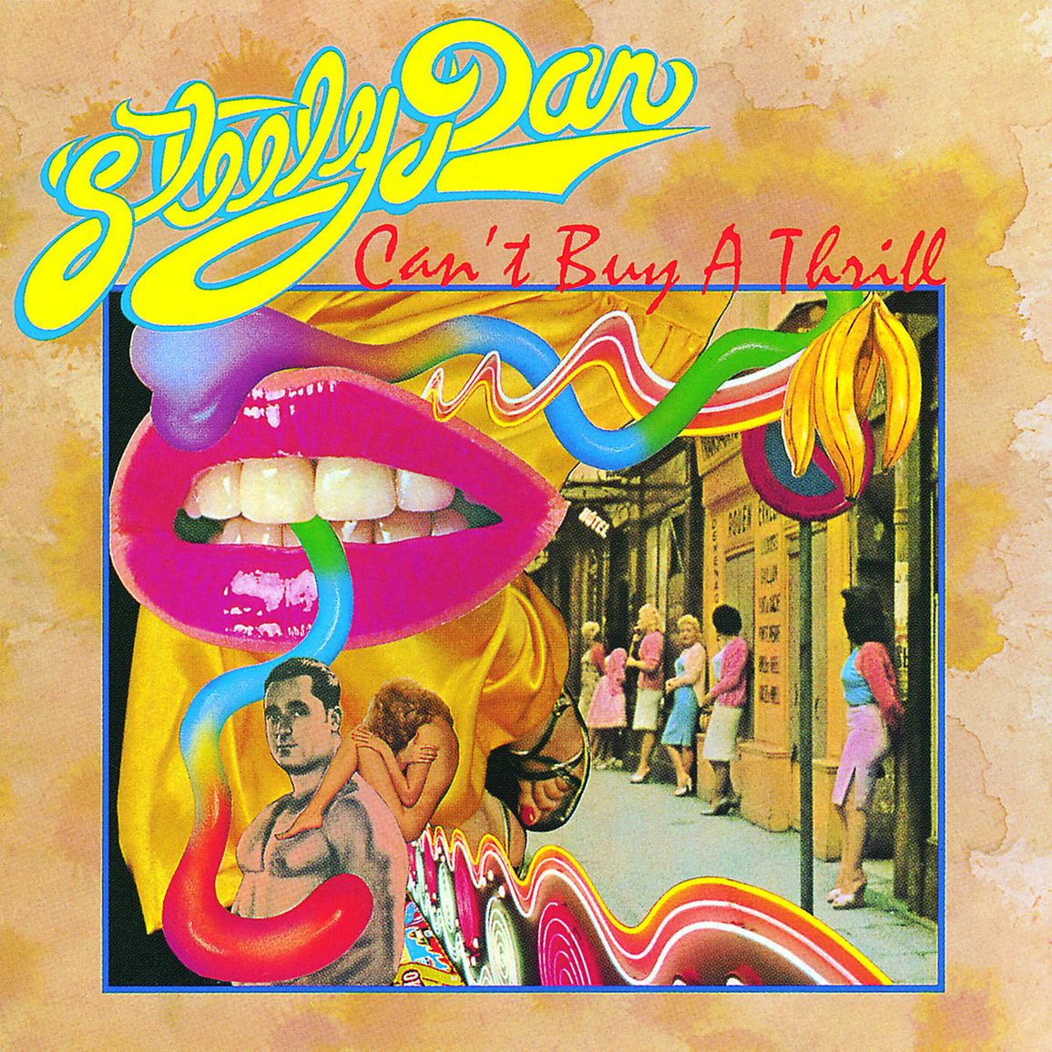 Steely Dan – Can't Buy A Thrill cover