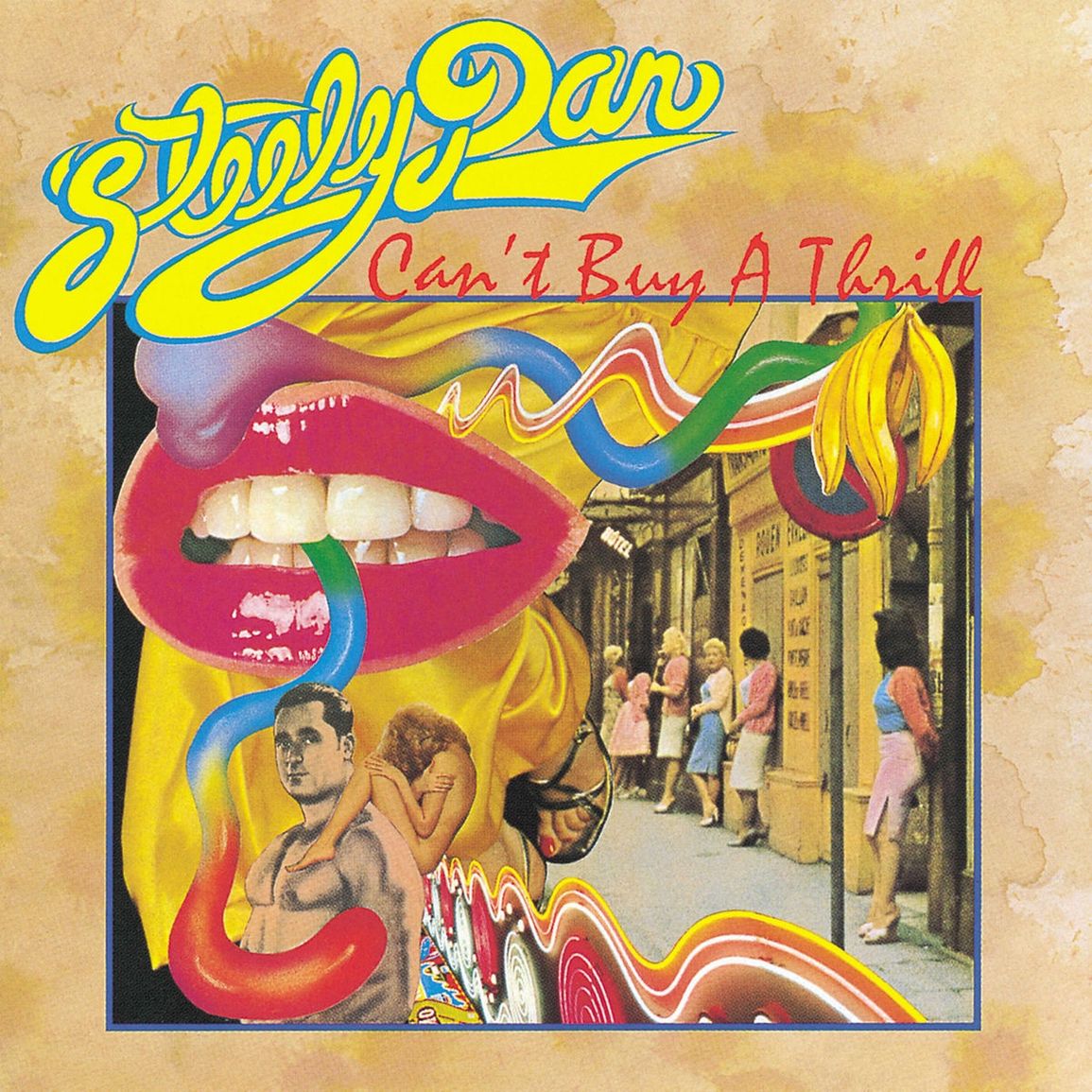 Steely Dan – Can't Buy A Thrill cover
