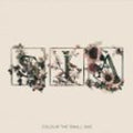 Sia | Colour The Small One | CD