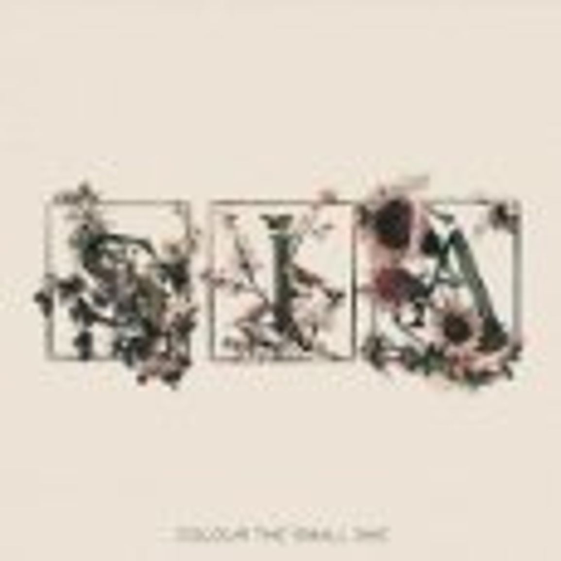 Sia | Colour The Small One | CD