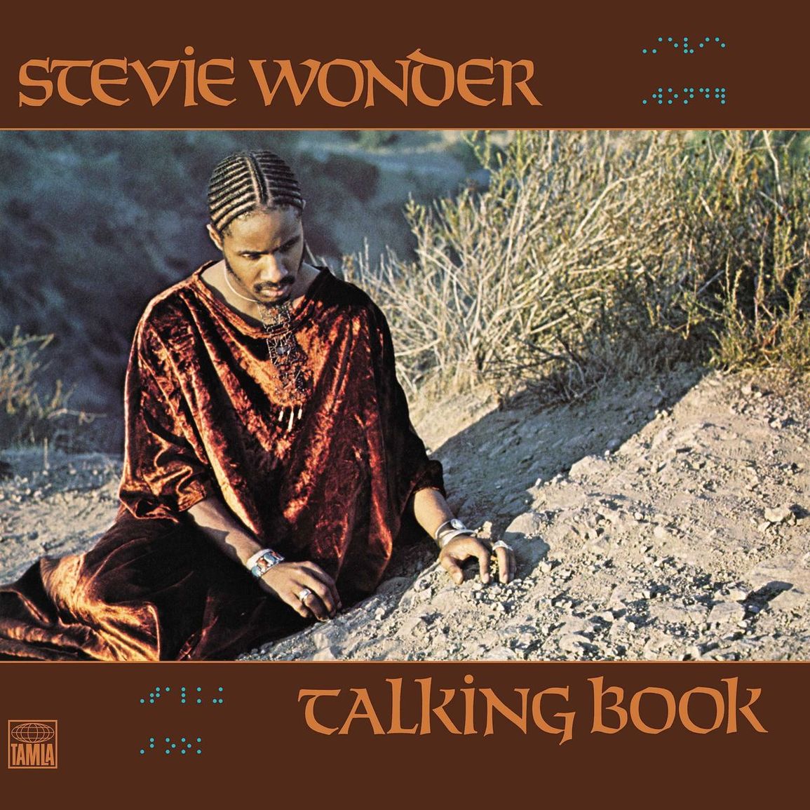 Stevie Wonder cover artwork