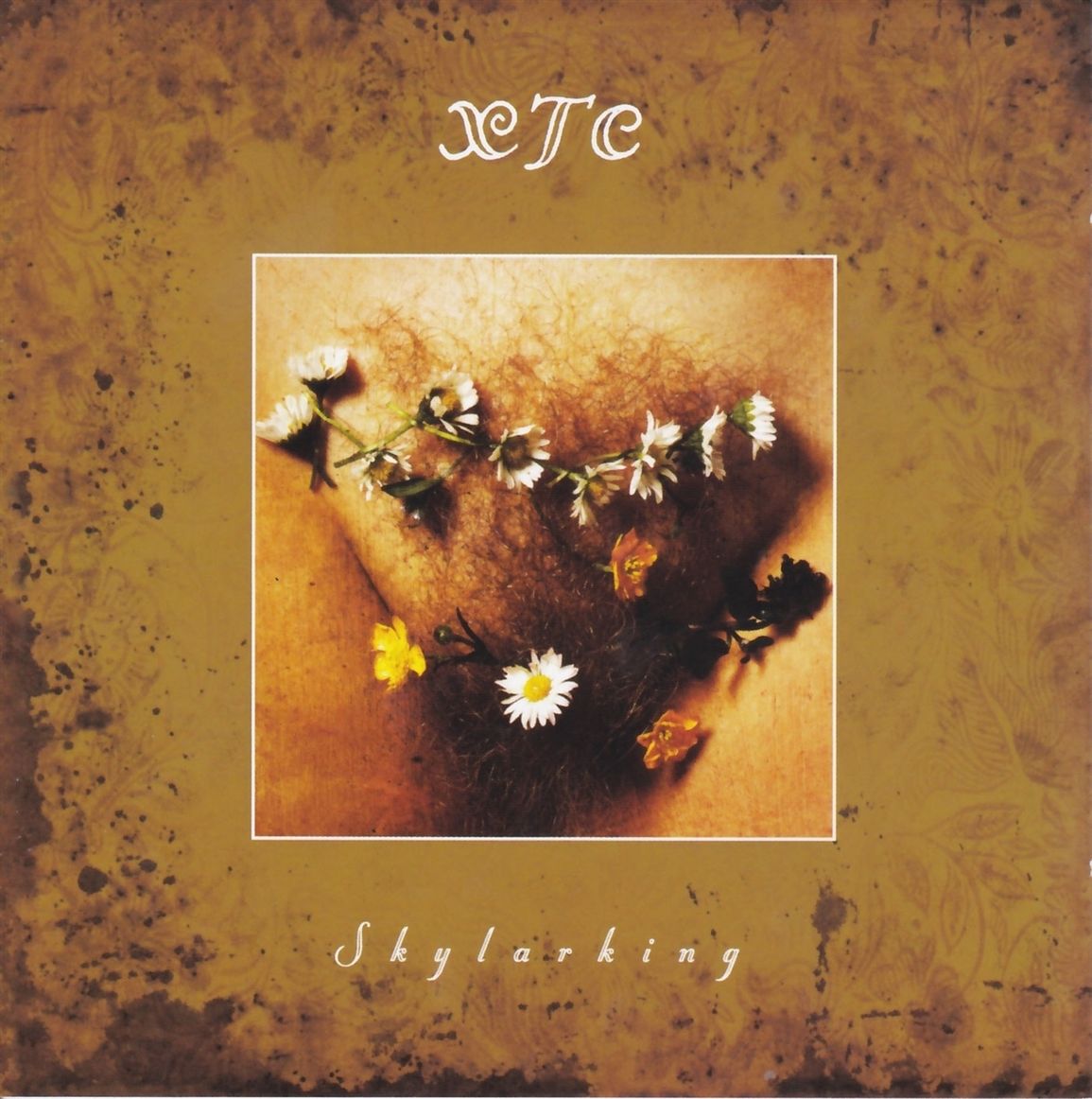 XTC cover artwork