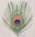 XTC cover artwork