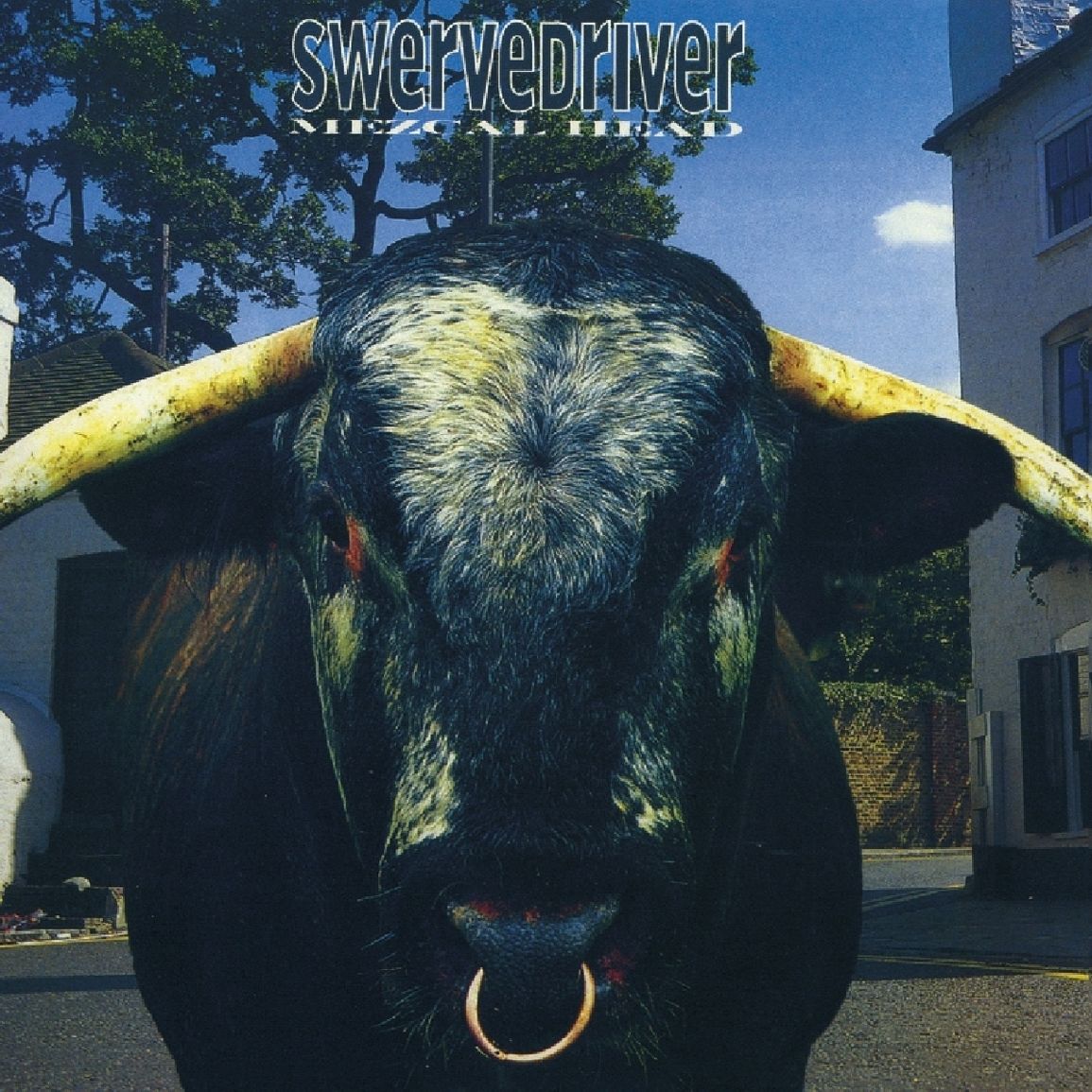Swervedriver – Mezcal Head cover