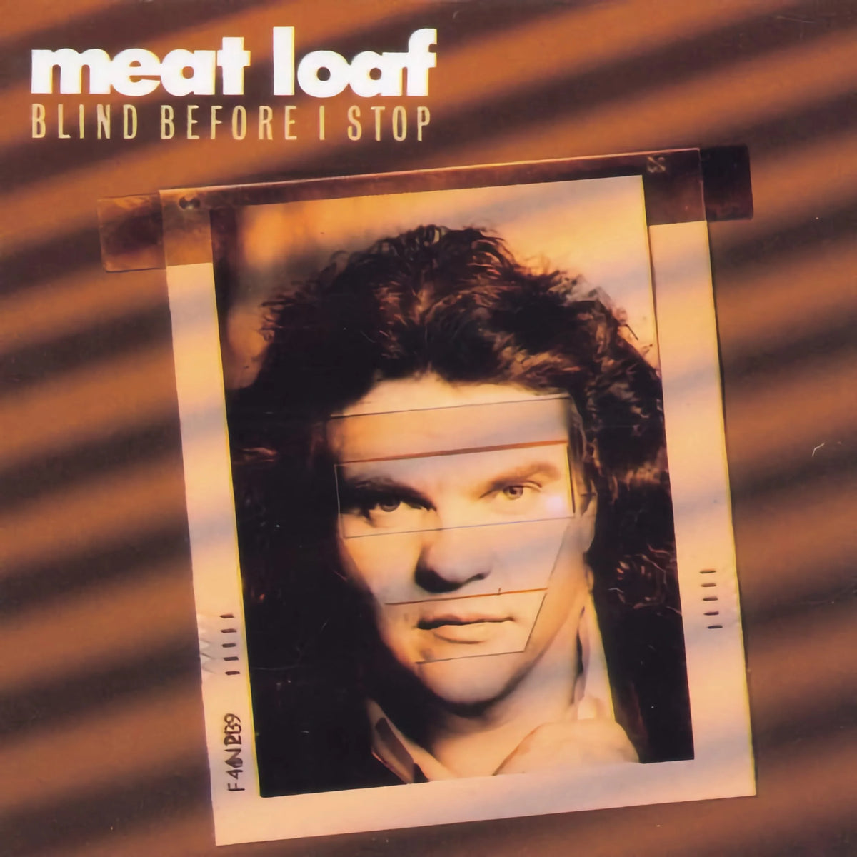Meat Loaf | Blind Before I Stop