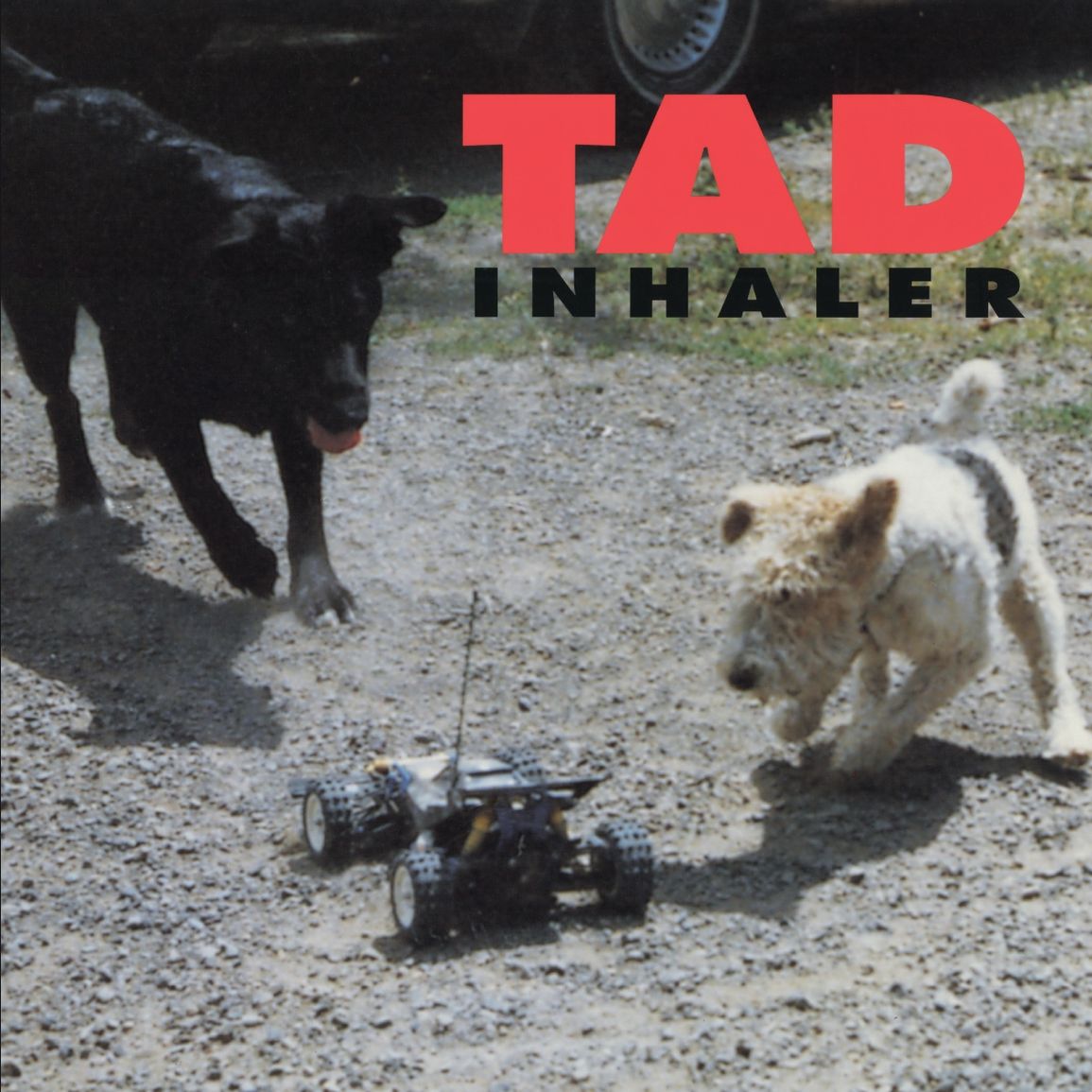 Tad – Inhaler cover artwork