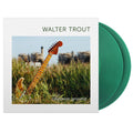 Walter Trout – Common Ground cover artwork