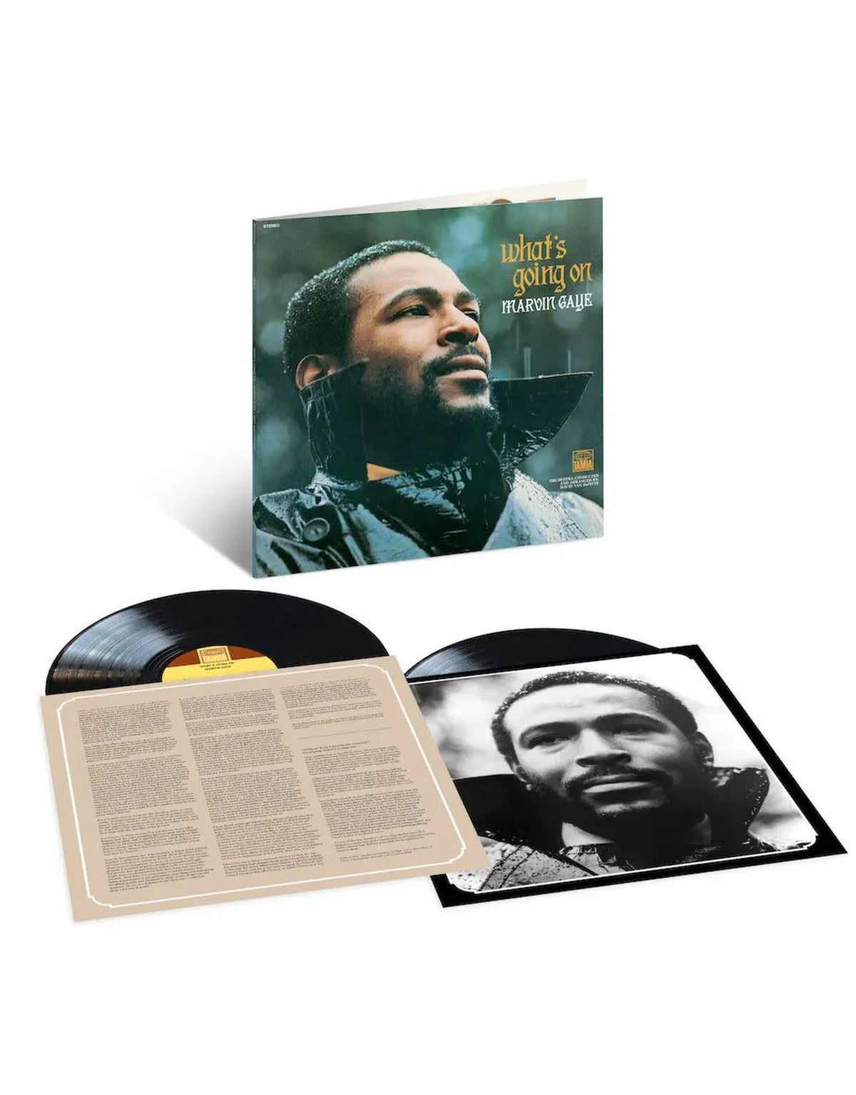 Gaye, Marvin | What's Going On (50th / Lithos) | 2LP - 180g front cover