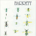 Syd Barrett | Barrett | 1LP artwork